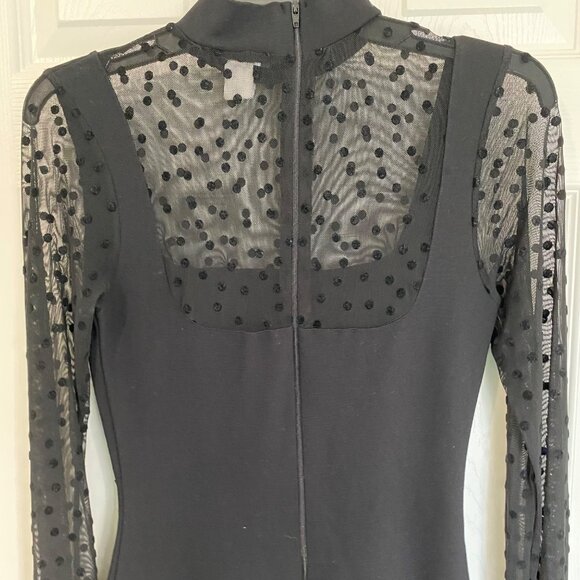 Sheer Polka Dot Long Sleeve Black Bodycon Dress With Mock Neck & Back Zip Closur - Picture 5 of 9